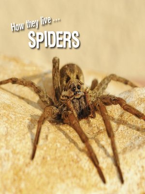 cover image of How they live... Spiders